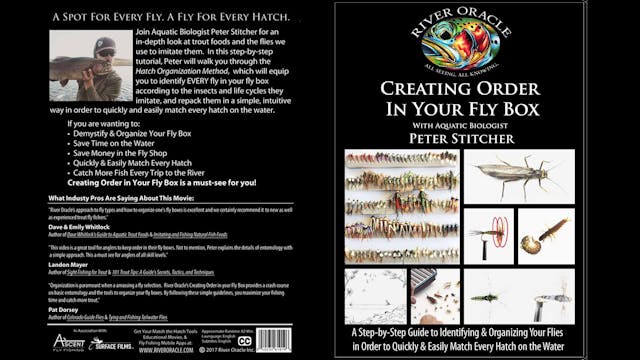 Creating Order in Your Fly Box