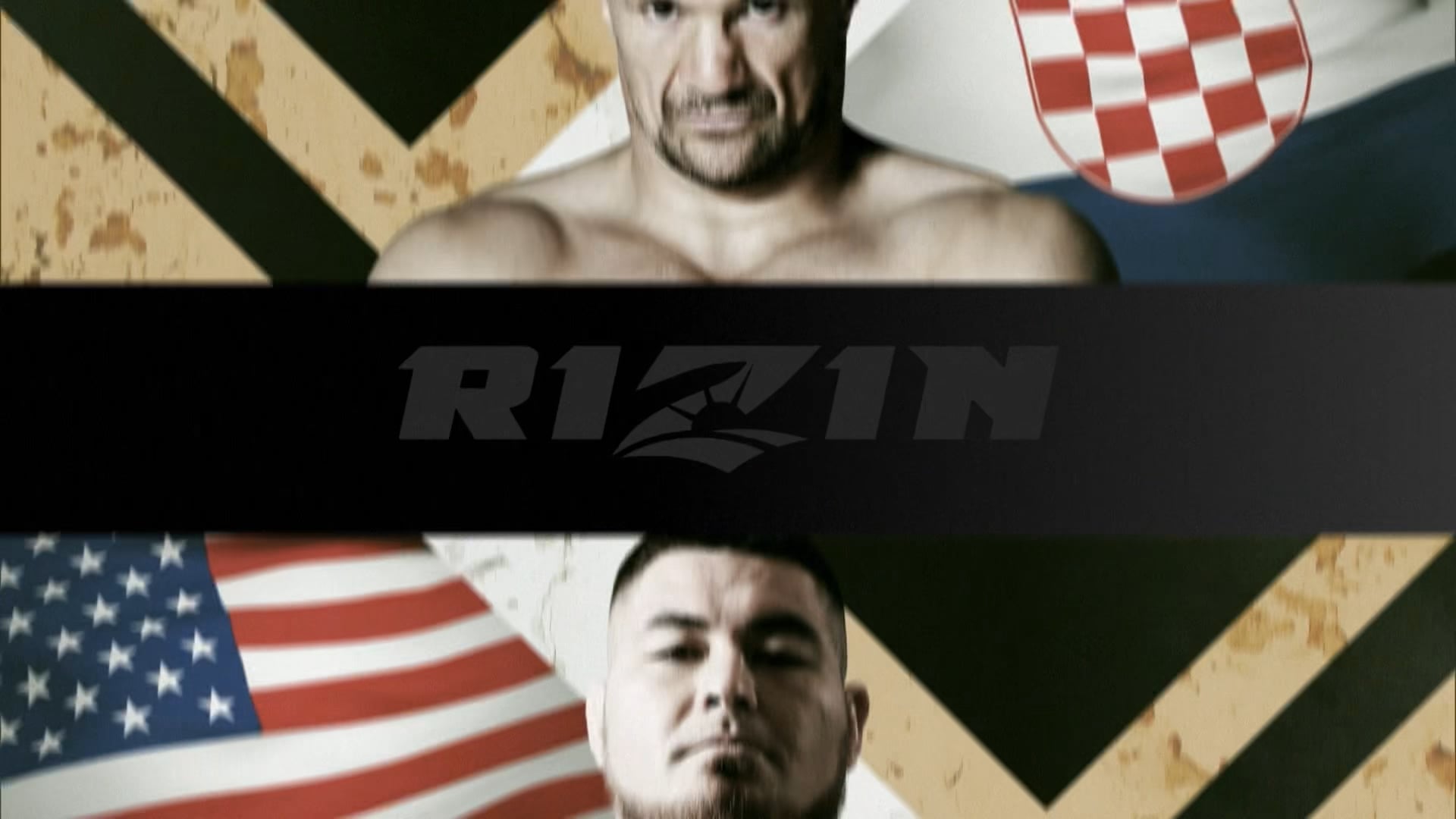 Mirko Cro Cop VS Roque Martinez