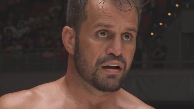 Jiri Procházka vs Fabio Maldonado RI...