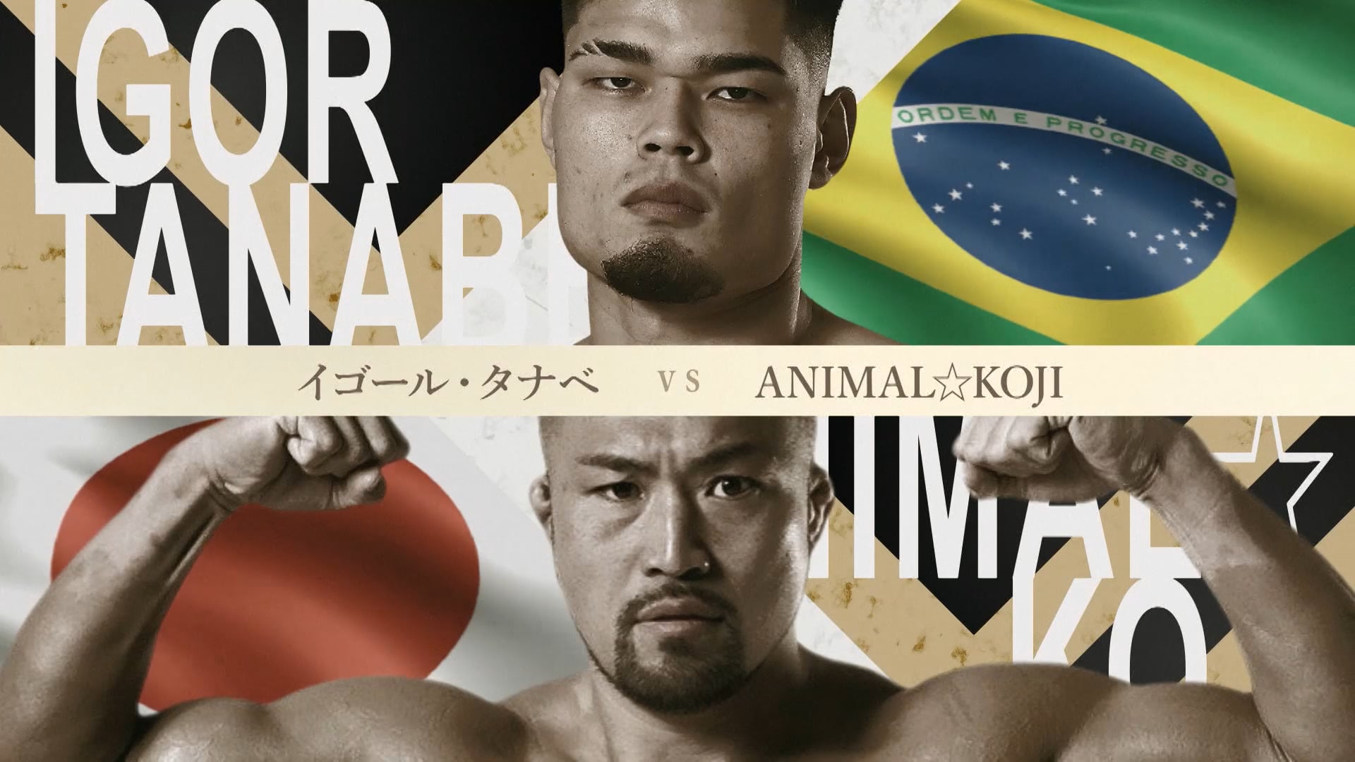 Igor Tanabe vs ANIMAL☆KOJI RIZIN LANDMARK 6 in NAGOYA
