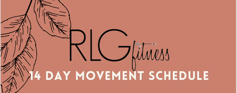 14 Day Movement Schedule