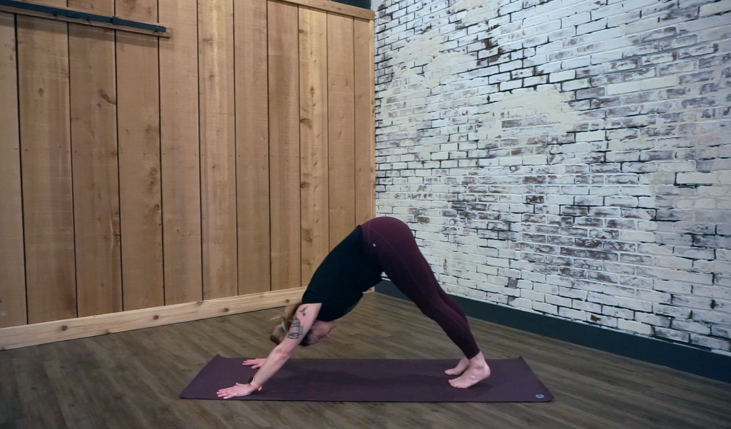 Yoga Flow 35: Lunar Flow with Ashley 
