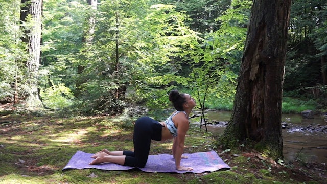 Yoga Flow 14: Relaxing Nature Flow
