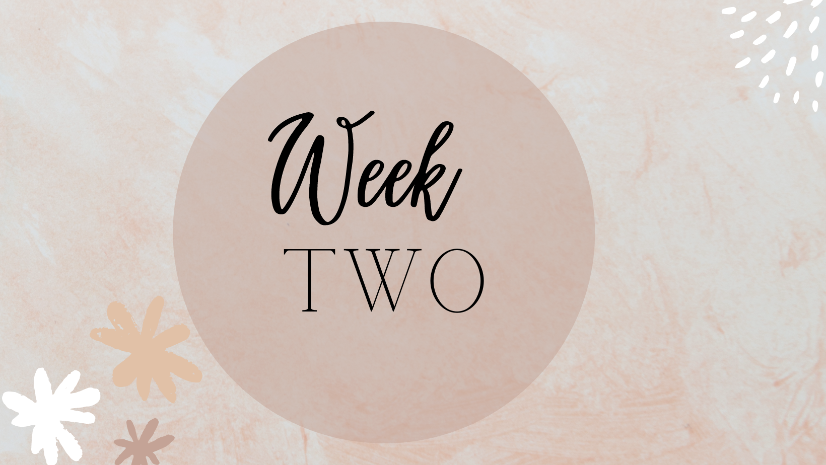 Accountability Tracker Week TWO