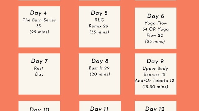 14 Day Movement Schedule