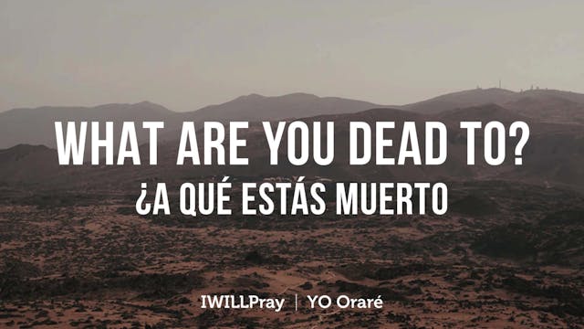 What Are You Dead To? / A Que Estas M...