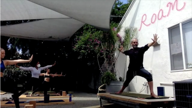 CHAD LEVEL 2 -- KAPINJALASANA (variation of Side Plank)