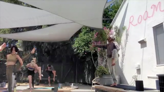 CHAD LEVEL 2 - BIRD OF PARADISE 