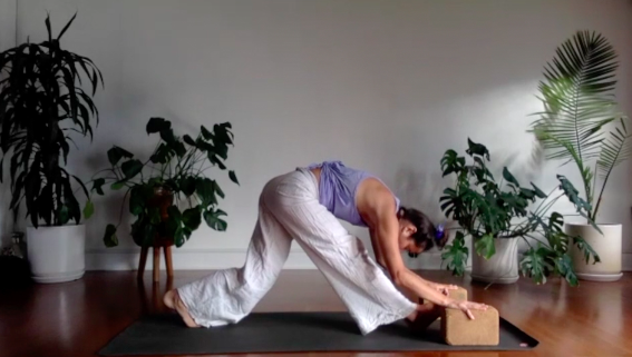 MARIA LEVEL ONE/TWO - 08/19