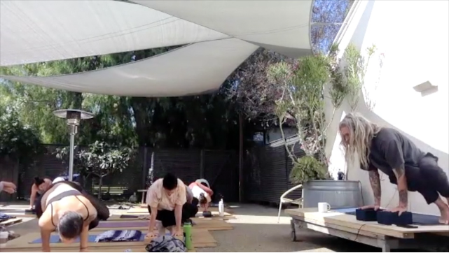 CHAD LEVEL 2 - SIDE CROW (ii)