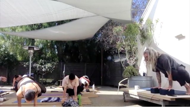 CHAD LEVEL 2 - SIDE CROW (ii)