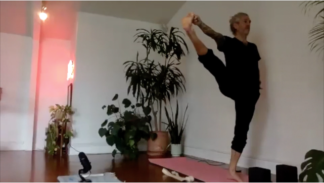 CHAD LEVEL 2 - BIRD OF PARADISE