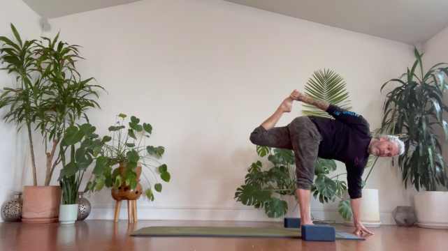 CHAD SHORT+SWEET - REVOLVED SUGARCANE POSE