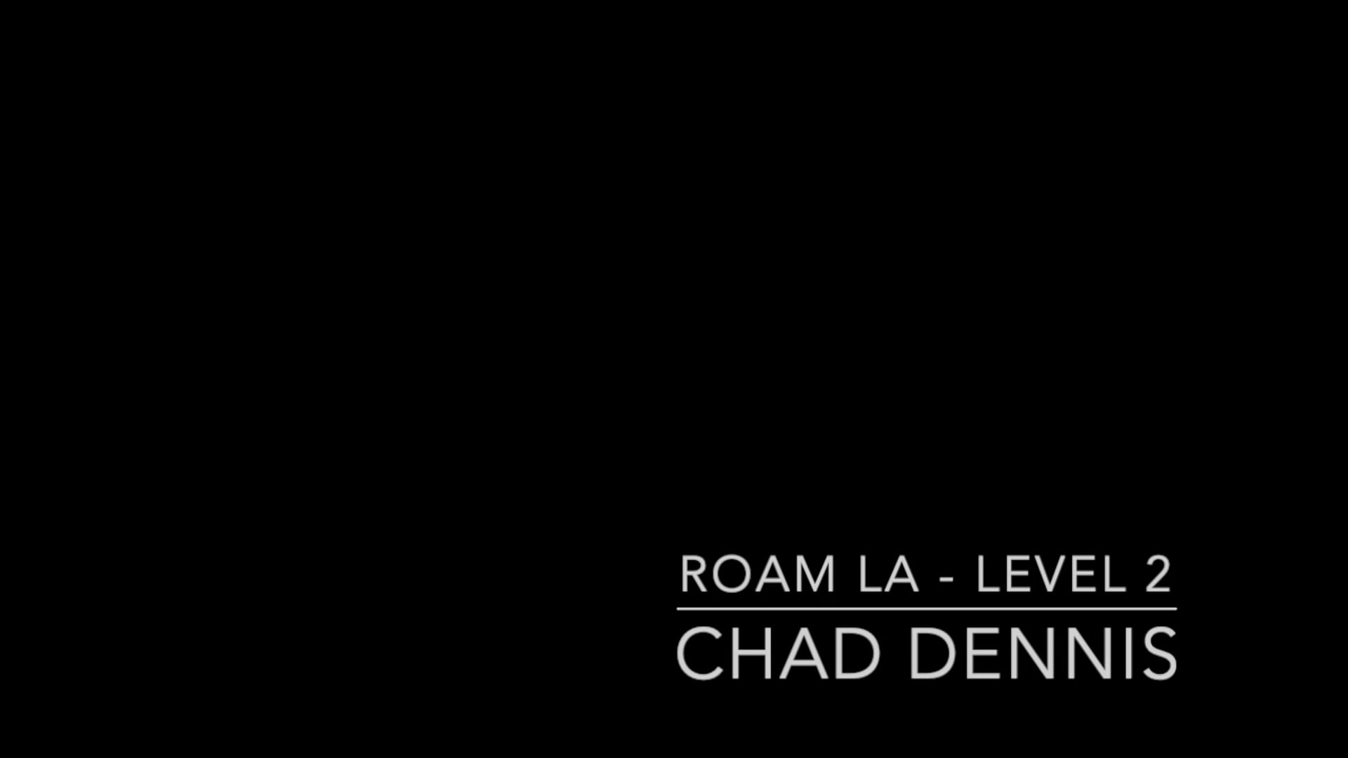 CHAD LEVEL 2 04242026