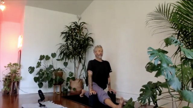 CHAD LEVEL 2 - HANUMANASANA (ii)