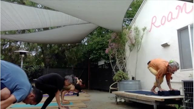 CHAD LEVEL 2 - HIP-OPENERS - PIGEONS ...