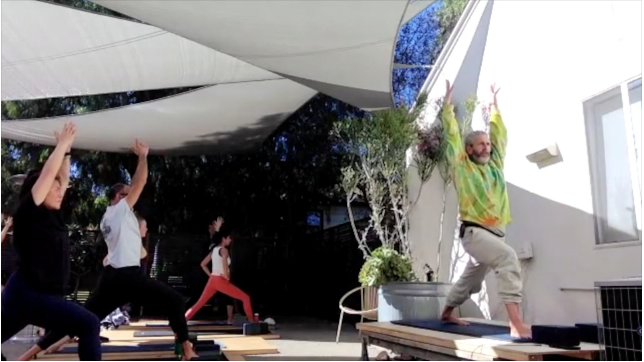 CHAD LEVEL 2 - FLYING PIGEON (ii)