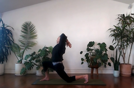 CHAD SHORT+SWEET BIRD OF PARADISE