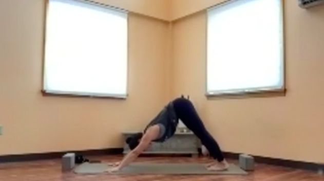 CAT LEVEL ONE/TWO - 05/14