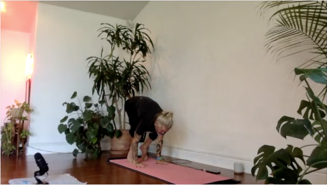 CHAD LEVEL 2 - CROW POSE (ii)