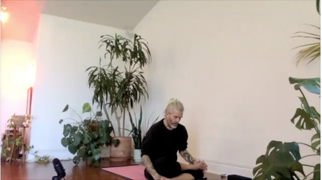 CHAD LEVEL 2 DOUBLE PIGEON