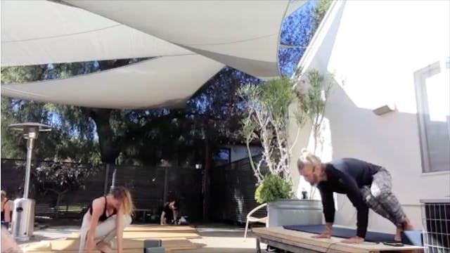 CHAD LEVEL 2 - SIDE CROW (ii)