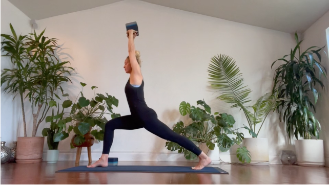 JENN LEVEL 2 - YES HIPS, NO CHATURANGA