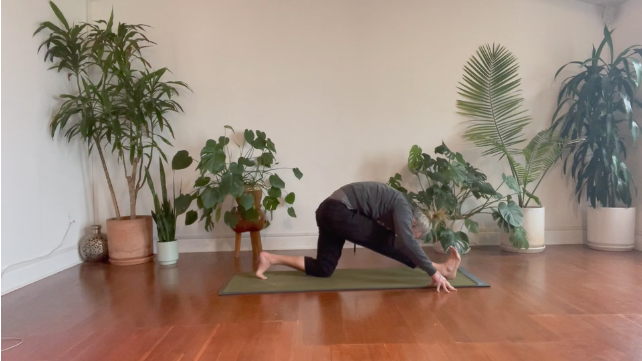 CHAD SHORT+SWEET HEAD to KNEE POSE