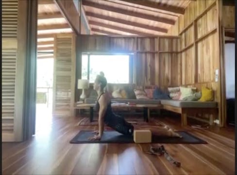 JENN LEVEL 2 - 08/15/2023