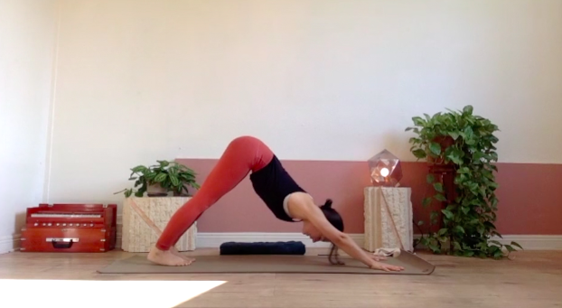 CAT LEVEL ONE/TWO - 04/01