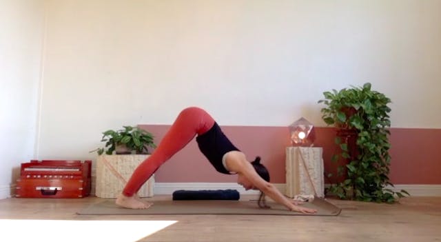 CAT LEVEL ONE/TWO - 04/01