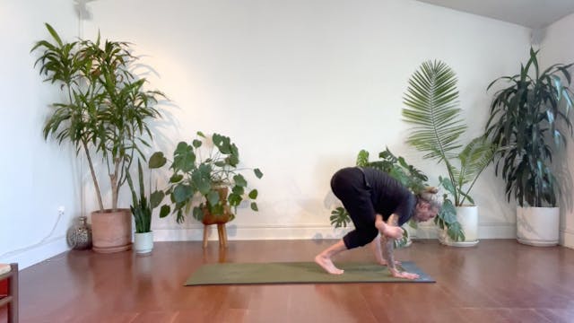 CHAD SHORT+SWEET - EKA PADA GALAVASANA