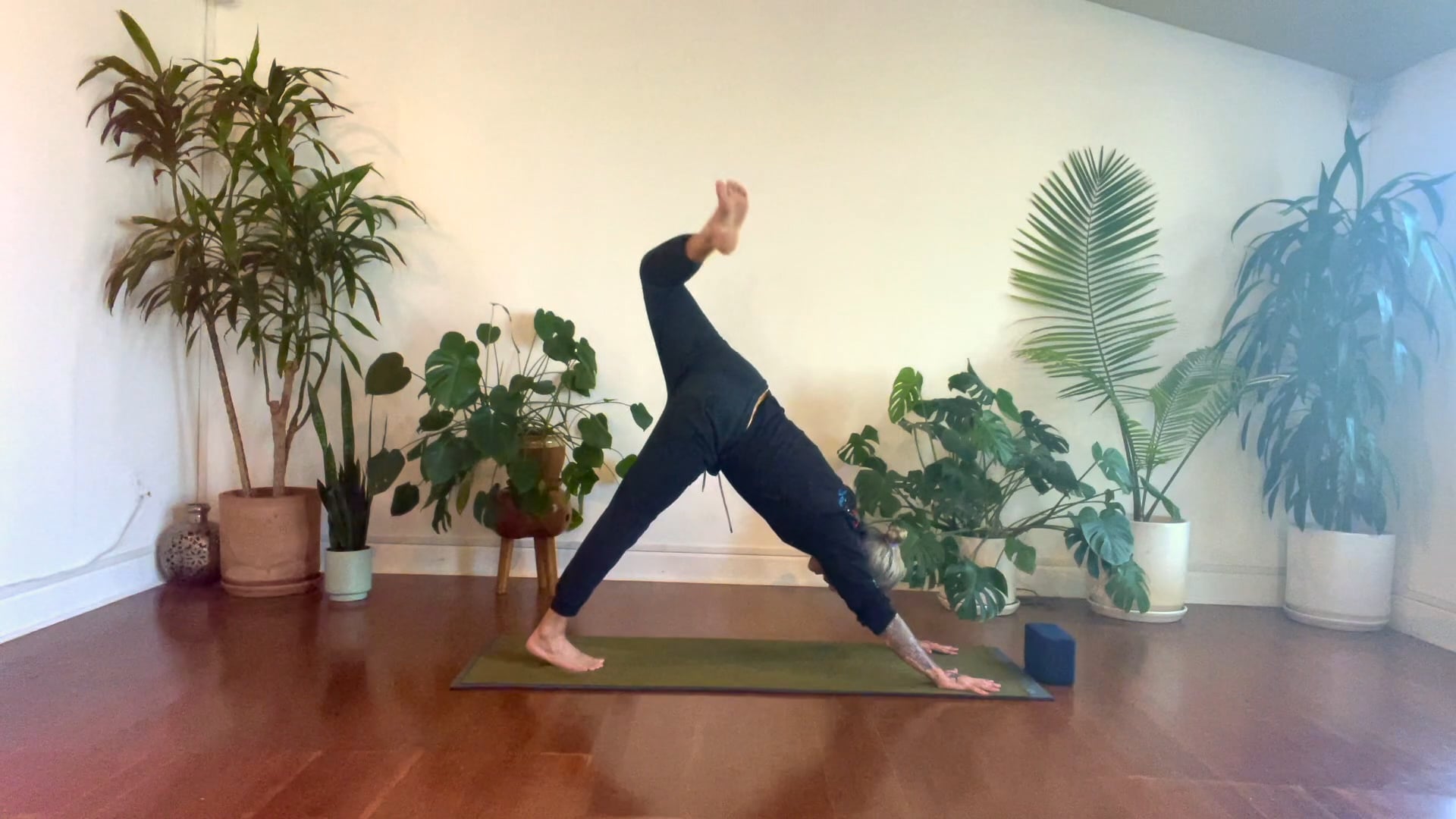 CHAD SHORT+SWEET PIGEON