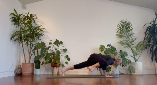 CHAD SHORT+SWEET CROW