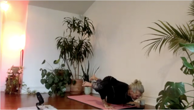 CHAD LEVEL 2 EKA PADA KOUDINYASANA 