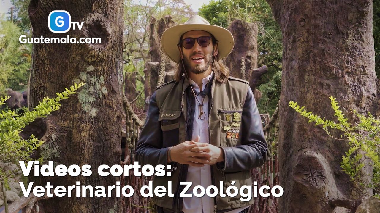 Veterinario del Zoológico