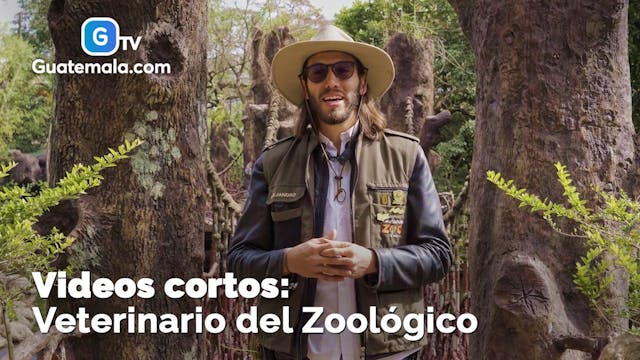 Veterinario del Zoológico