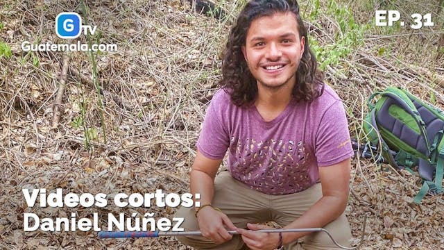 Daniel Núñez