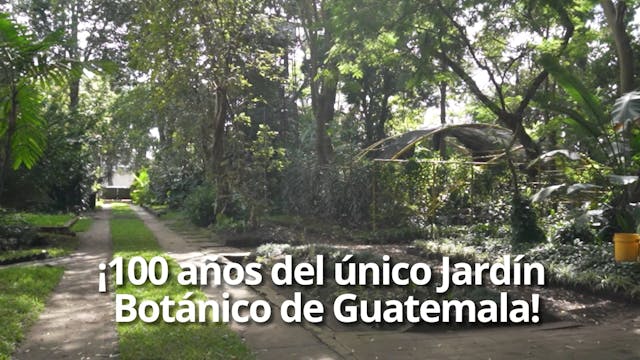 Jardin Botanico