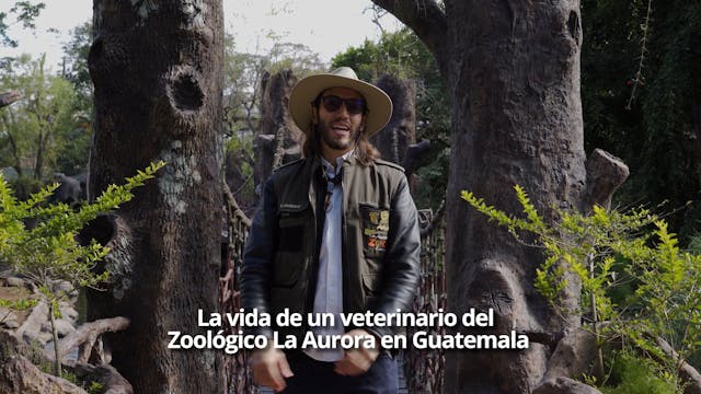 Veterinario del Zoológico