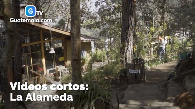La Alameda