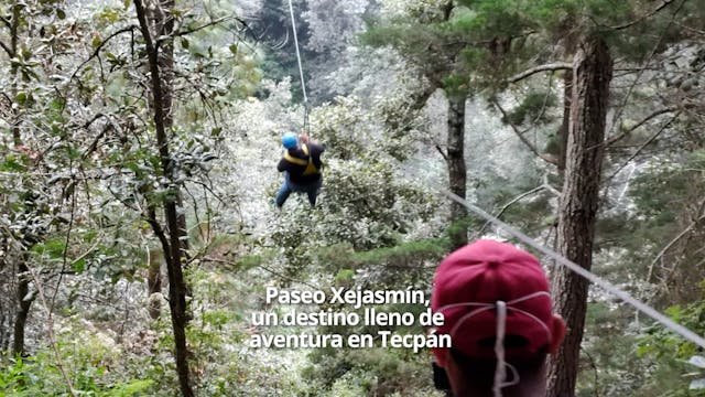 Paseo Xejasmín