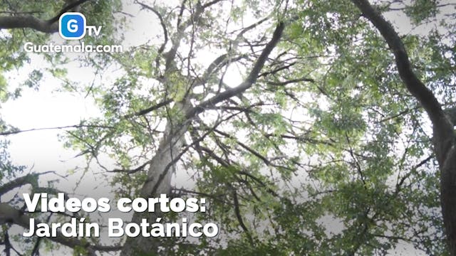 Jardin Botanico