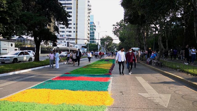 La Alfombra en la Reforma