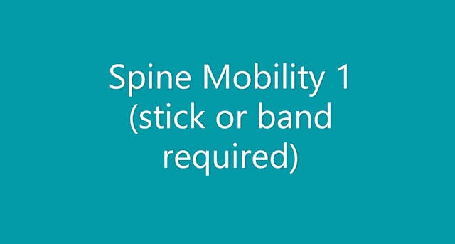 Spinal Mobility 1