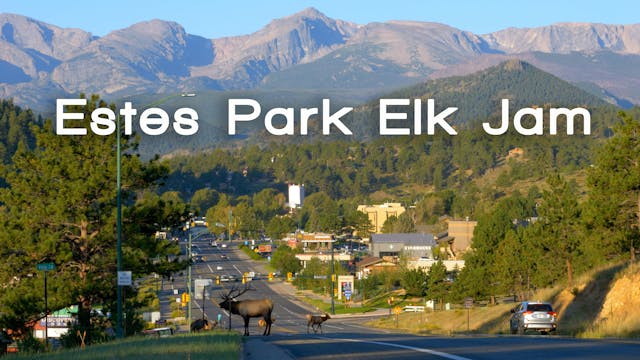 Estes Park Elk Jam