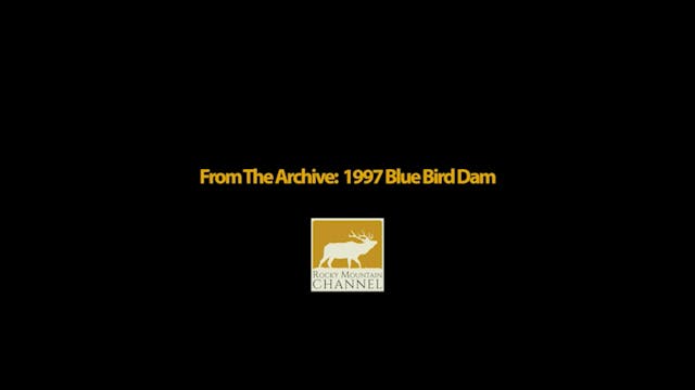 1997 Blue Bird Dam