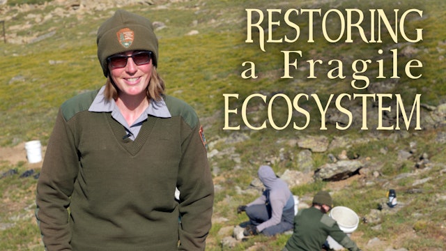 Restoring a Fragile Ecosystem