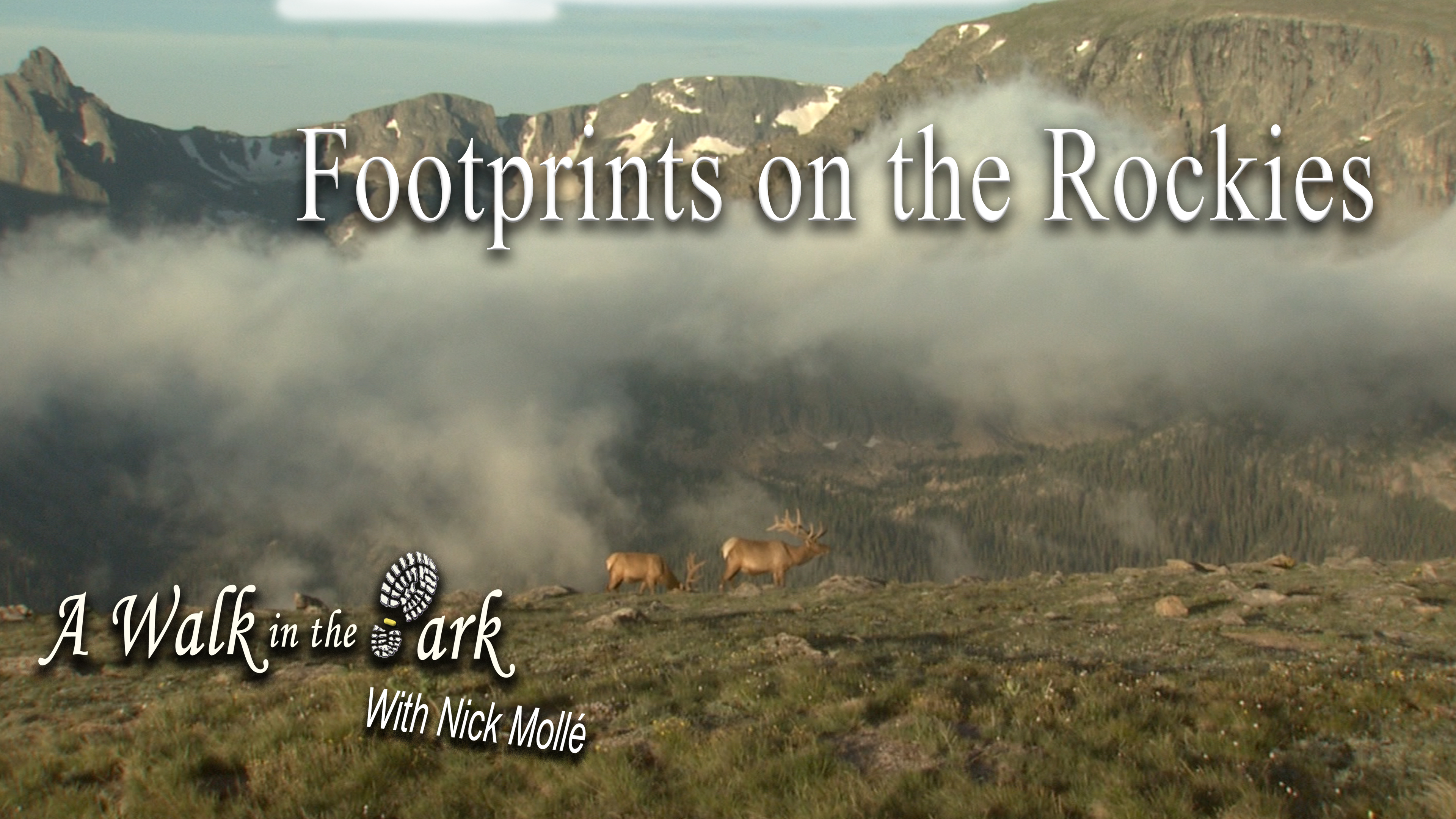 Footprints on the Rockies