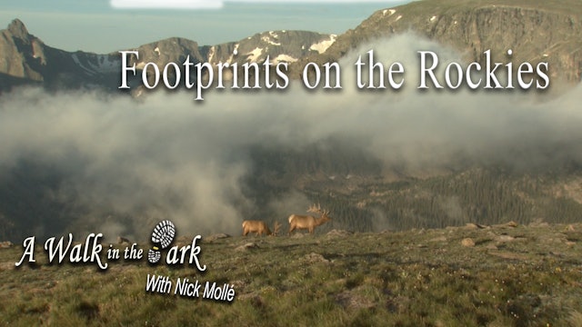 Footprints on the Rockies